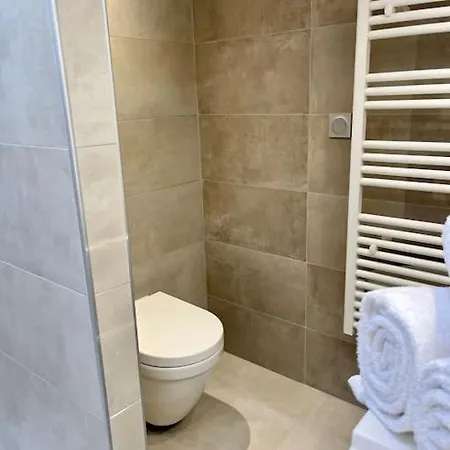 Magnifique Duplex Avec Terrasse Meyrie